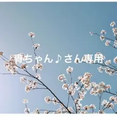 青ちゃん♪さん専用