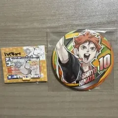 ハイキュー!! ファンパーク　日向翔陽