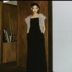 ANDRÉSD / tulle vest all in one dress