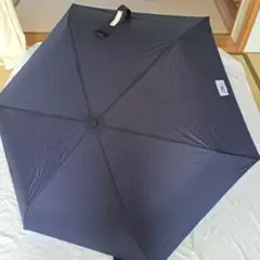 軽量 ミズノネイビー 折りたたみ傘 収納ケース付き 訳あり 55cm