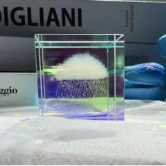 ★最終値下げ★3Dレーザー水晶立方体、雨の日のエッチングガラスのコレクション