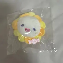 JOCHUM ビラ bira シークレットブローチ