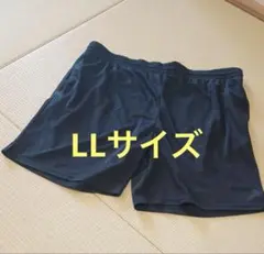 Item thumbnail for item 572776fa-7db8-418e-8de7-f261dd3fa804