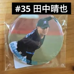 Item thumbnail for item c18655fe-b573-4f2d-ab94-ea0ba25e01dc