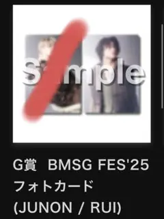 BMSG FES'25 フォトカード RUI
