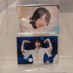 Item thumbnail for item 3c8ee114-51b6-41fe-8961-96b274209cf2