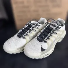 NIKE AIR MAX TERRASCAPE PLUS 27.5cm