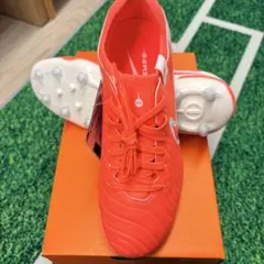 ナイキ ティエンポレジェンド10 プロ AG（24.5㎝）