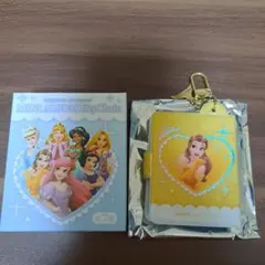 ディズニープリンセス ミニアルバム型キーホルダー