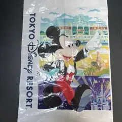 東京ディズニーリゾート ショップ袋セット