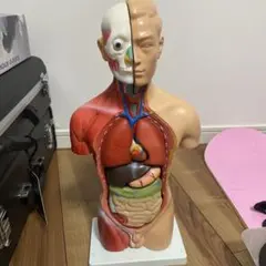 Item thumbnail for item d0e2beda-925d-4a99-b88e-2ce7949f3224