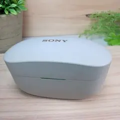 SONY WF-1000XM5 プラチナシルバー 充電ケース - メルカリ