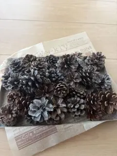 Item thumbnail for item 29fb61c5-ce65-46bc-93af-f7399a8f7117