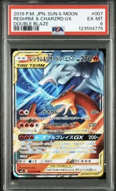 他*人様 タ*ン様 レシラム&リザードンGX RR SM10 ダブルブレイズ 0