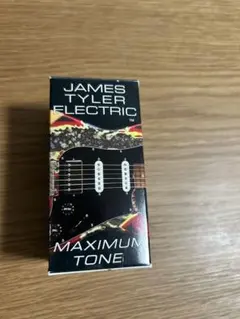 2025年最新】james tyler ピックアップの人気アイテム - メルカリ