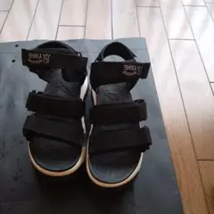 Item thumbnail for item 1819c365-b366-4d58-9556-79e822eb336e