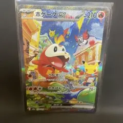 ホゲータex SAR MEGA 拡張パック 30th CELEBRATION
