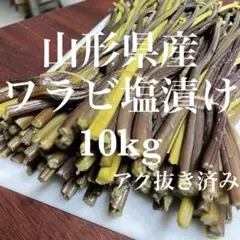 山形県産 アク抜きワラビ塩漬け 10kg(1kg×10袋)塩蔵 わらび 山菜 