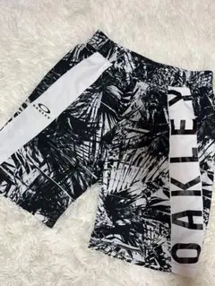 Item thumbnail for item 9ab38209-337c-4a89-b53d-ca6b181312dc