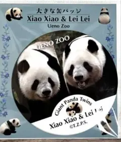 シャオシャオレイレイ　大きな缶バッジ　上野動物園