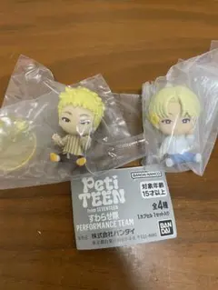 SEVENTEEN ホシ ウジ すわらせ隊 petiteen