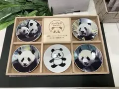 【新品未使用】パンダ自身フェス　上野ファミリーとルンルンの豆皿セット 新品未使用】パンダ自身フェス 上野ファミリーとルンルンの豆皿