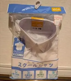 Item thumbnail for item 783e7df3-6bc5-4f28-b5ff-1749152af20f