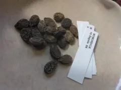 nnnnaka9様 リクエスト 3点 まとめ商品