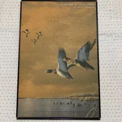 Item thumbnail for item bcee9c8a-aa20-4dd5-9e7b-9a3eb4c3071b