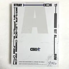 2026年最新】Straykids アルバム go生の人気アイテム - メルカリ