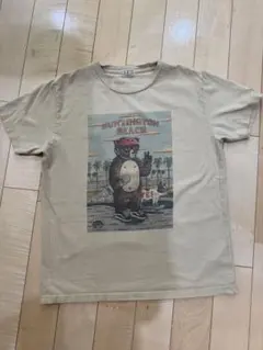 Item thumbnail for item 08a5a8f6-92f1-423b-83a7-84c6a34fb3db