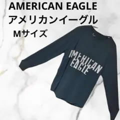 さN100AMERICAN EAGLEアメリカンイーグル　Tシャツ 長袖　M