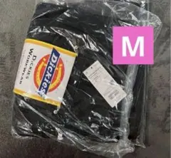 FUTURE ARCHIVE DICKIES W-KNEE WK BLACK M