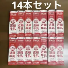 近藤牛乳 1000ml 牛乳パック 14本セット 未解体 工作用