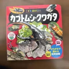 こども百科ミニ カブトムシ・クワガタ