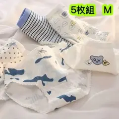 Item thumbnail for item 1551a19a-d17d-43e2-82e4-5d27edef14c6