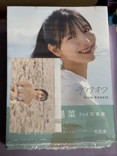 Item thumbnail for item 3935095c-76e3-4edb-80c1-161e3184fb37