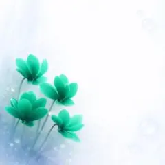 ₊✼̥₊ちゃみ₊✼̥୭*ˈ様 リクエスト 2点 まとめ商品