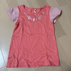 Item thumbnail for item 2c8f839f-28cd-43e1-9a2f-e5ba9e66ace4