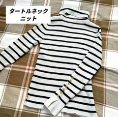 タートルネックニット 白黒ストライプ