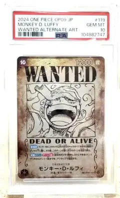 【PSA10】ルフィ手配書 ニカ