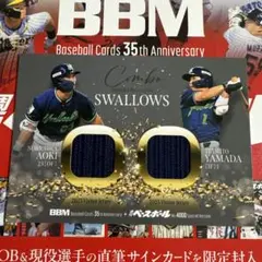 Item thumbnail for item 8e5d84de-390f-4817-8f24-f4a78ff2de6e