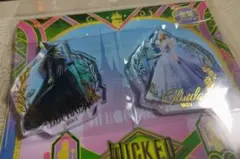 ウィキッド マグネット　エルファバ　グリンダ