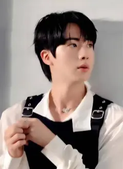 《JIN-42》BTS L版写真 ソクジン