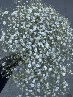 kakka様 リクエスト 2点 まとめ商品