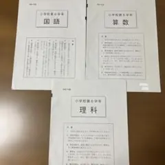 令和７年度　６年生　全国学力学習状況調査 学力診断テストのサムネイル