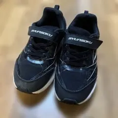 Item thumbnail for item 6a4afab0-8b6b-42f4-9d14-34732d1af88c