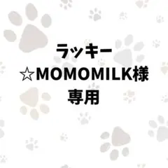 ラッキー☆MOMOMILK様専用【スピッツ・ミニチュアダックス】キーホルダー