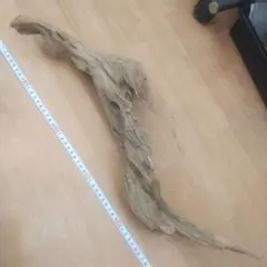 ash2k様 リクエスト 2点 まとめ商品