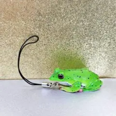 2025年最新】モリアオガエル マグネットの人気アイテム - メルカリ